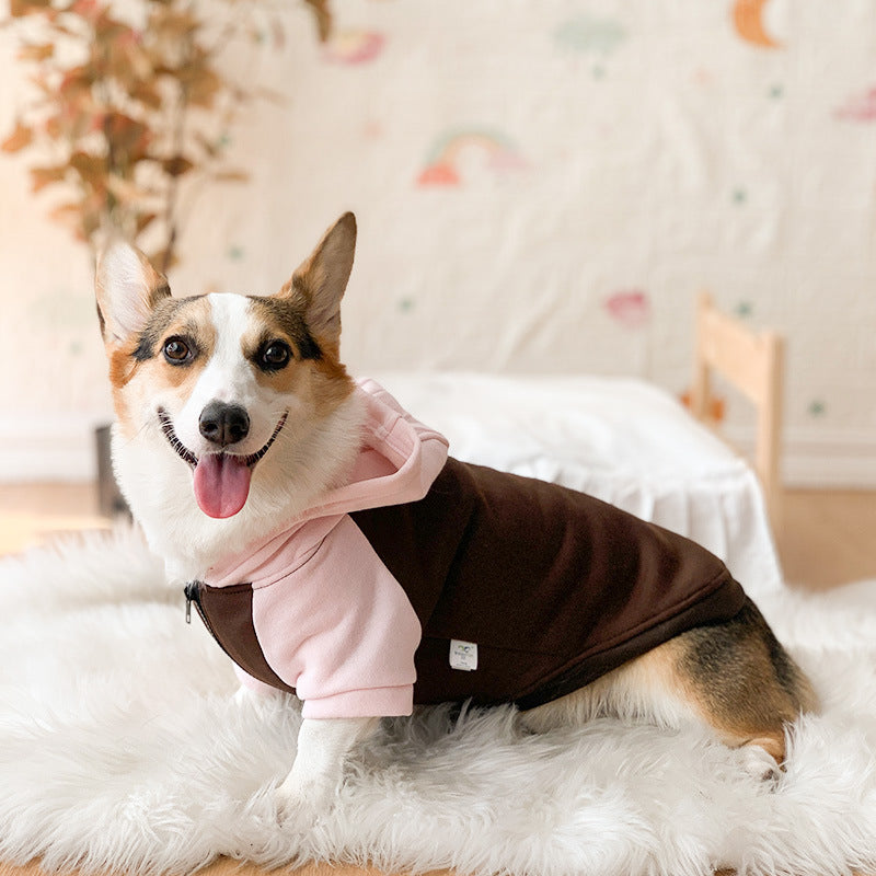 Corgi Dog Clothes Spring and Autumn Thin Small and Medium Dog Hair Shedding Prevention Pet Dog Clothes