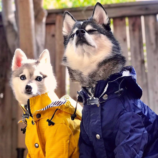 Windproof and rainproof British retro thick dog raincoat dog pet submachine jacket